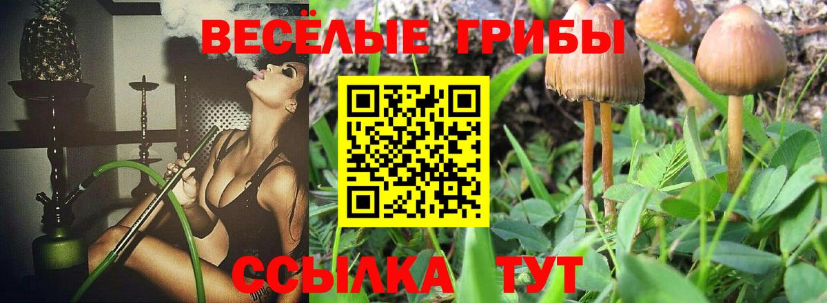Псилоцибиновые грибы ЛСД Краснодар